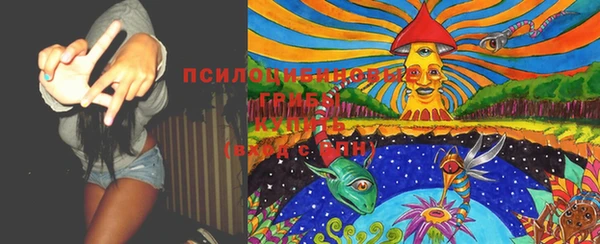 PSILOCYBIN Алексин