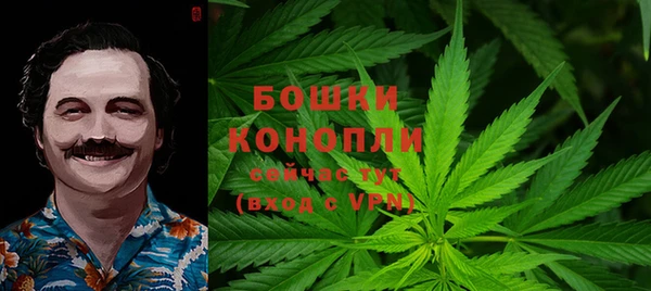 PSILOCYBIN Алексин
